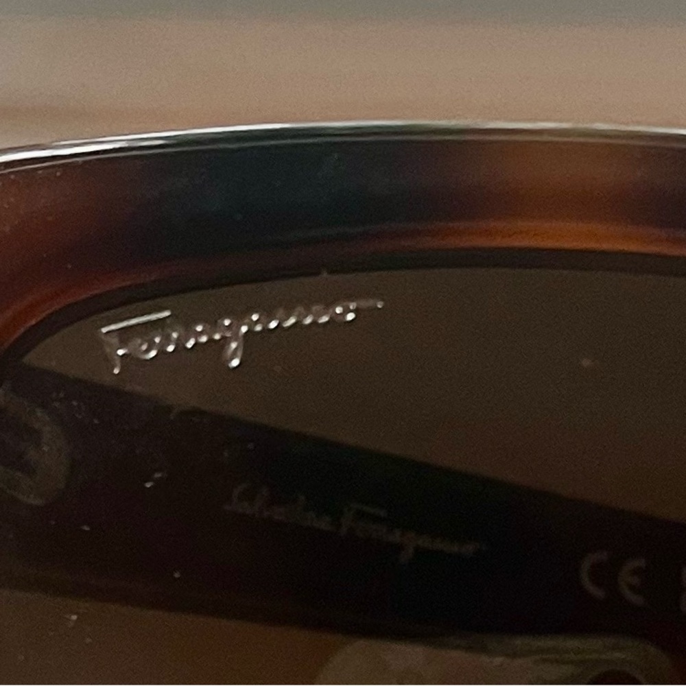 Salvatore Ferragamo sunglasses. Classic shape. Hard-sided sunglass case included